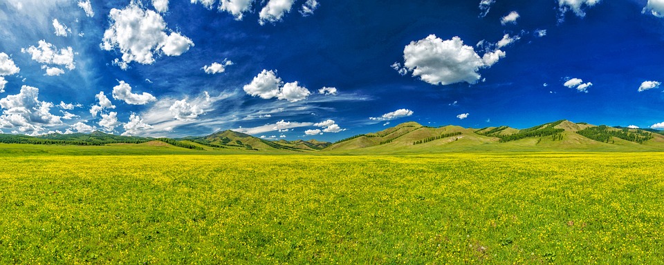 the valley of flowers 2386198 960 720